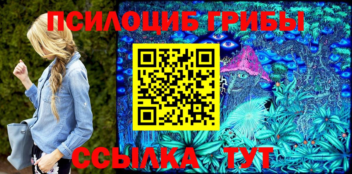 Псилоцибиновые грибы мицелий  Вход с VPN  Коркино 